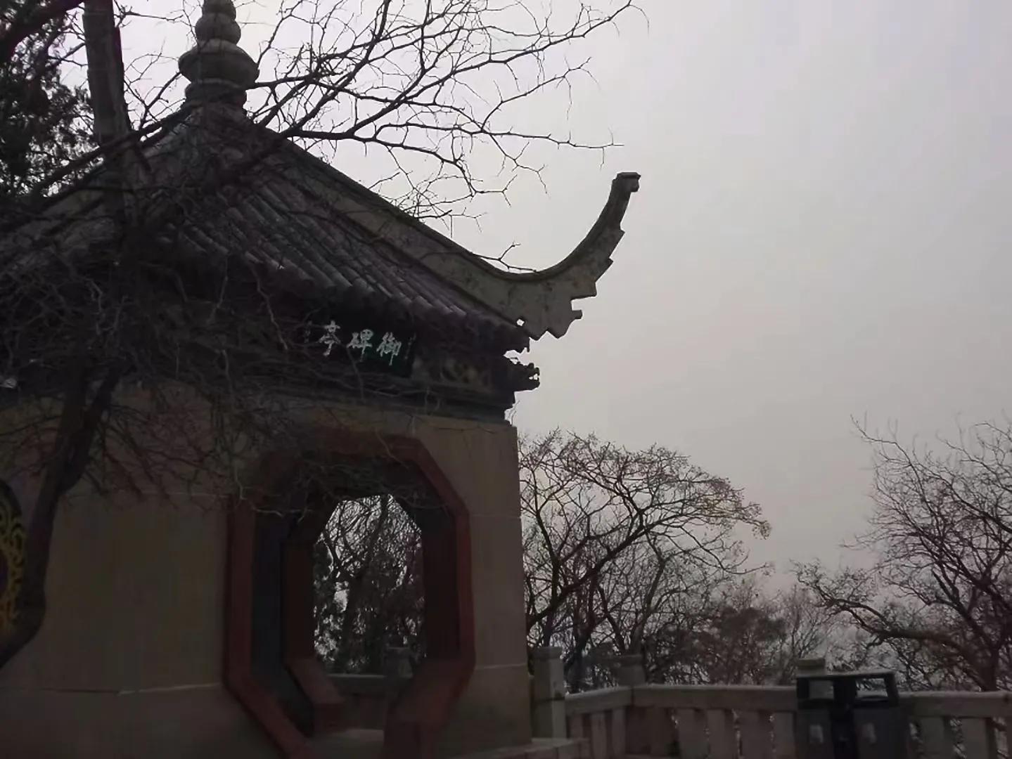 关于徐州放鹤亭的散文 _晶羽科技