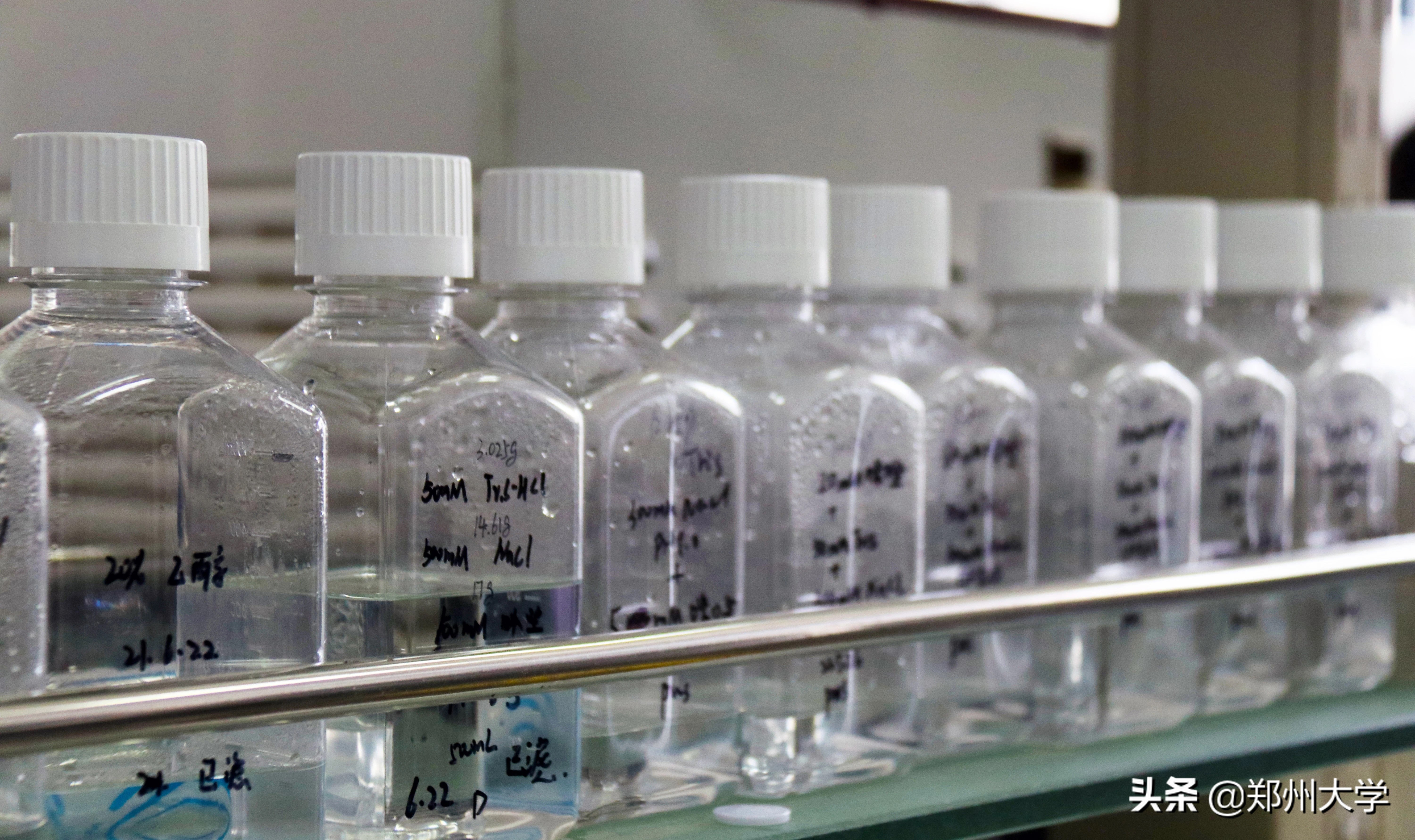 郑大科创之星 || 郑州大学生命科学学院教授王爱萍：让团队研制的新冠肺炎疫苗服务于疫情防控