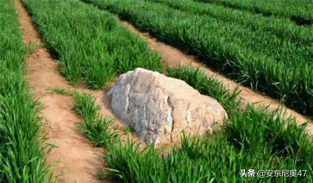 世界上最小的山（世界上最小的山特点讲解）