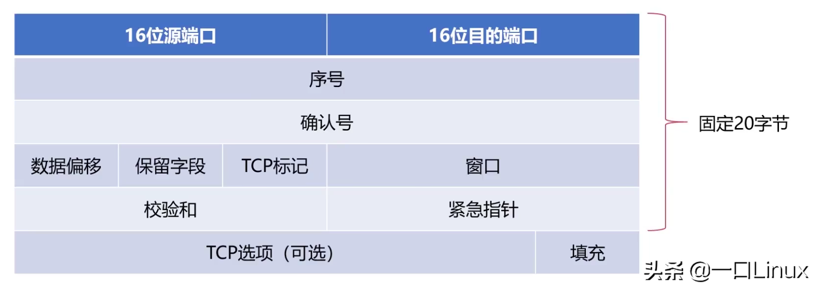 计算机网络知识点全面总结（这也太全了吧！）