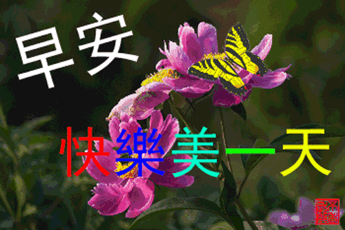 早上好动态表情图片 春天早上好问候短句 愿你福气满满、平安快乐图片
