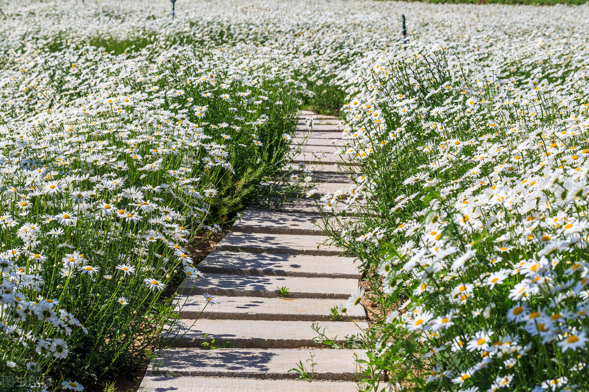 爱伴一程，念随一生，朝思暮想的你，是我深爱的永恒