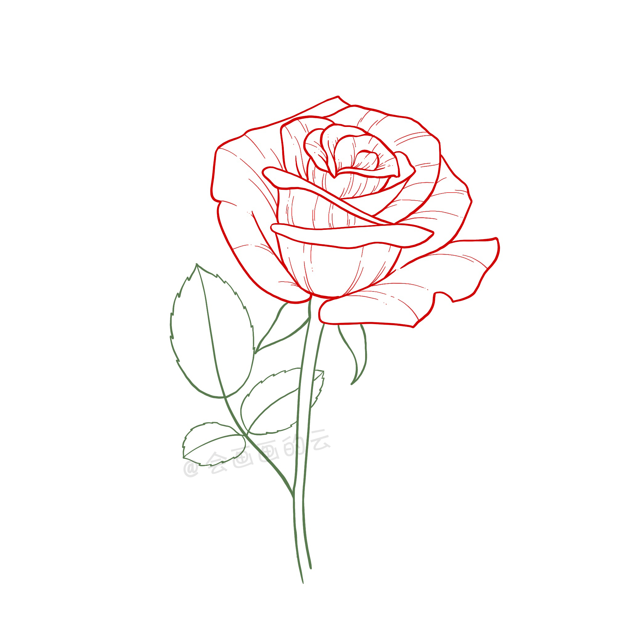 玫瑰花怎么写教你如何用简笔画的方式画2朵玫瑰花