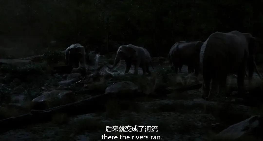 奇幻森林（电影）