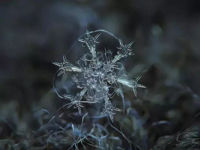 唯美雪花！