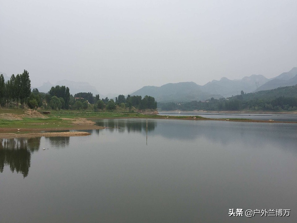 促鱼开口小药在厨房！料酒、红糖能行不，选对料好用还省钱