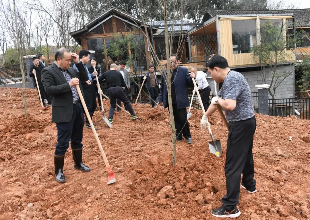 创国家森林城市 建怀化绿色家园 黎春秋王建球李万千印宇鹰等参加义务植树活动