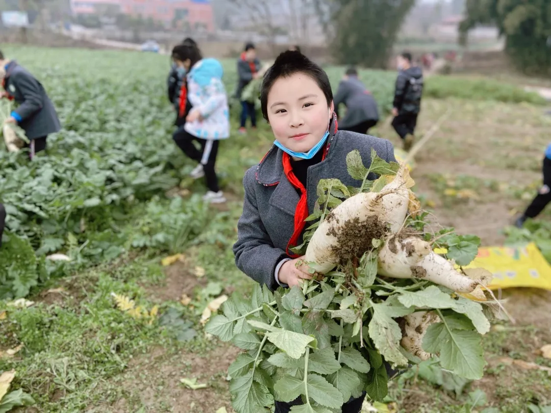 「城南小学•德育工作」小基地大收获 劳动实践快乐多