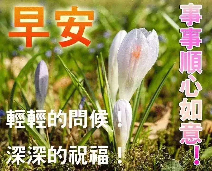 早上好温馨问候祝福语图文精选 平安健康、欢欣喜悦图片
