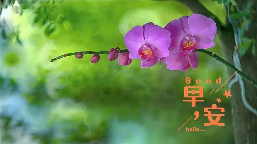 朋友圈早安励志文案，舍才是得最大的机会图片