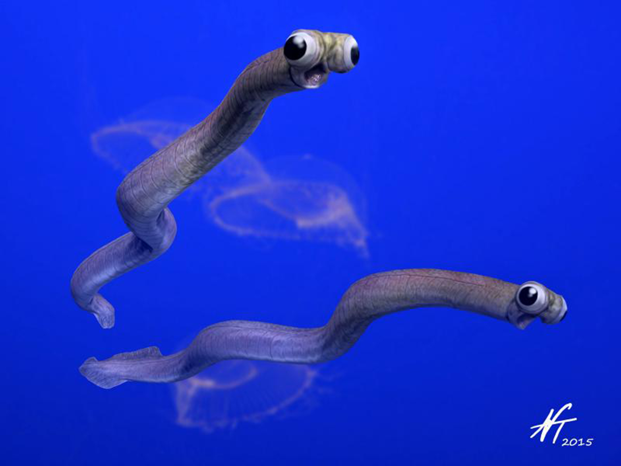无冕之王牙形虫，古生代海洋幽灵，越研究越恐怖