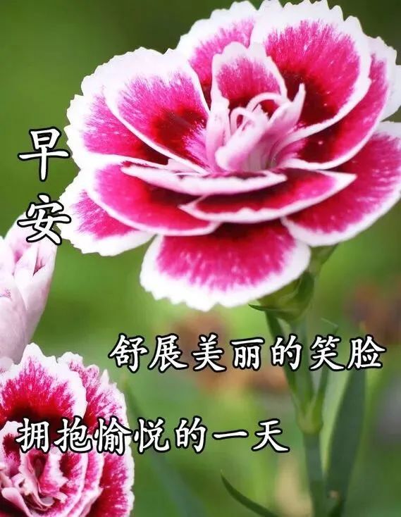 2022清晨最美早上好祝福图片带字，善待他人更要珍爱自己图片