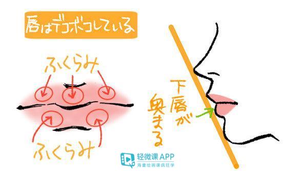 人物的嘴巴怎么画？漫画人物嘴巴画法技巧