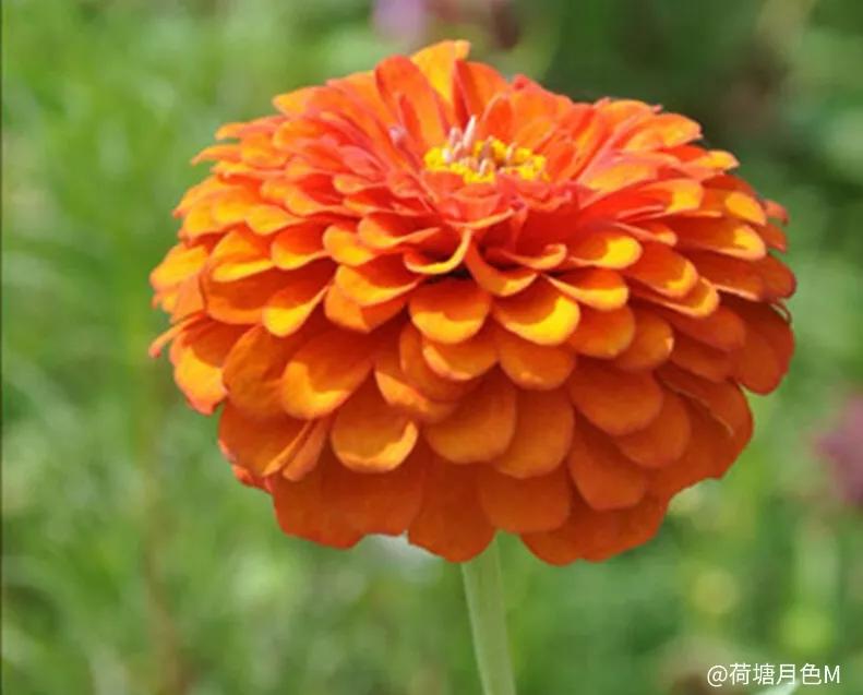 春天里，春风得意马蹄疾，一日看尽长安花