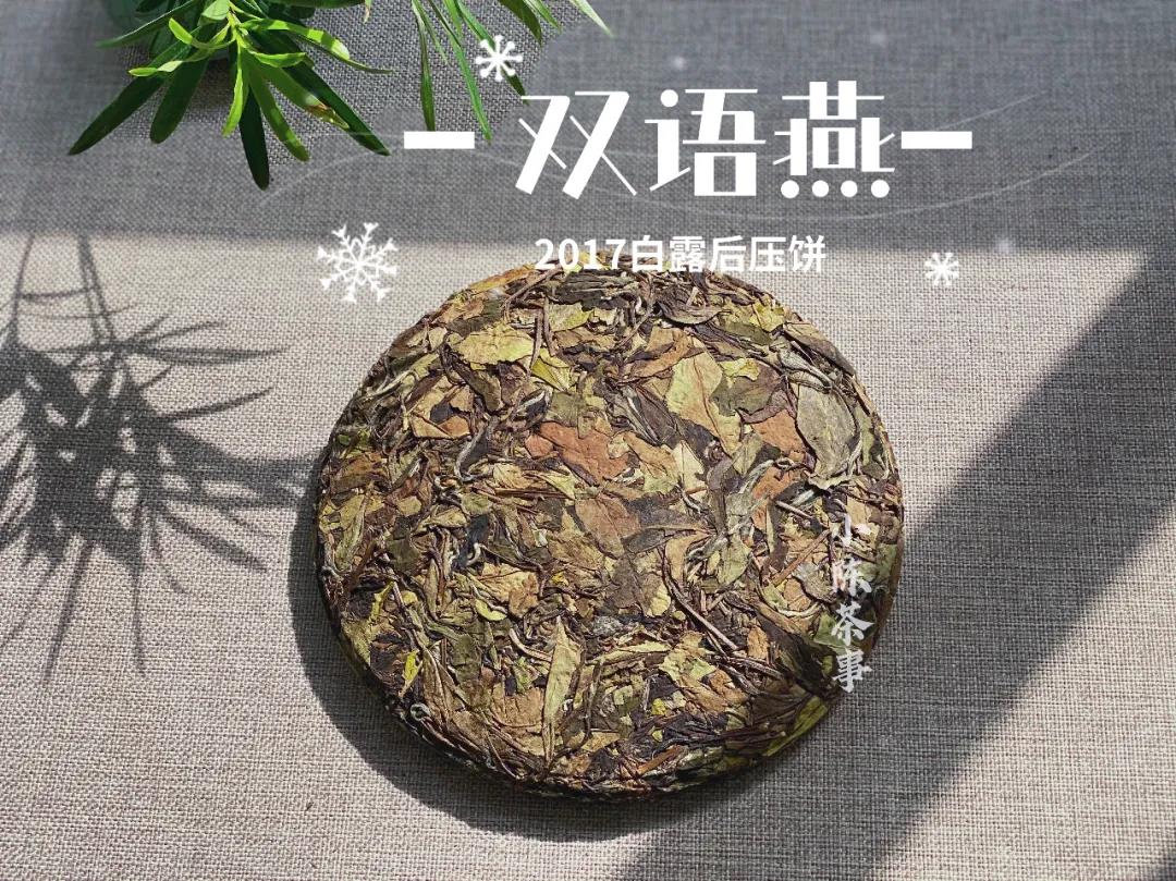 这4种“老白茶”，一个接一个，全是做旧大坑，别买