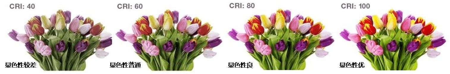2022年初送给孩子最有意义的成长礼物-有道智能学习灯上手初体验