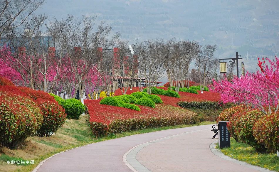 疫情挡不住春天的脚步，小编带你去看古城秦州的春暖花开