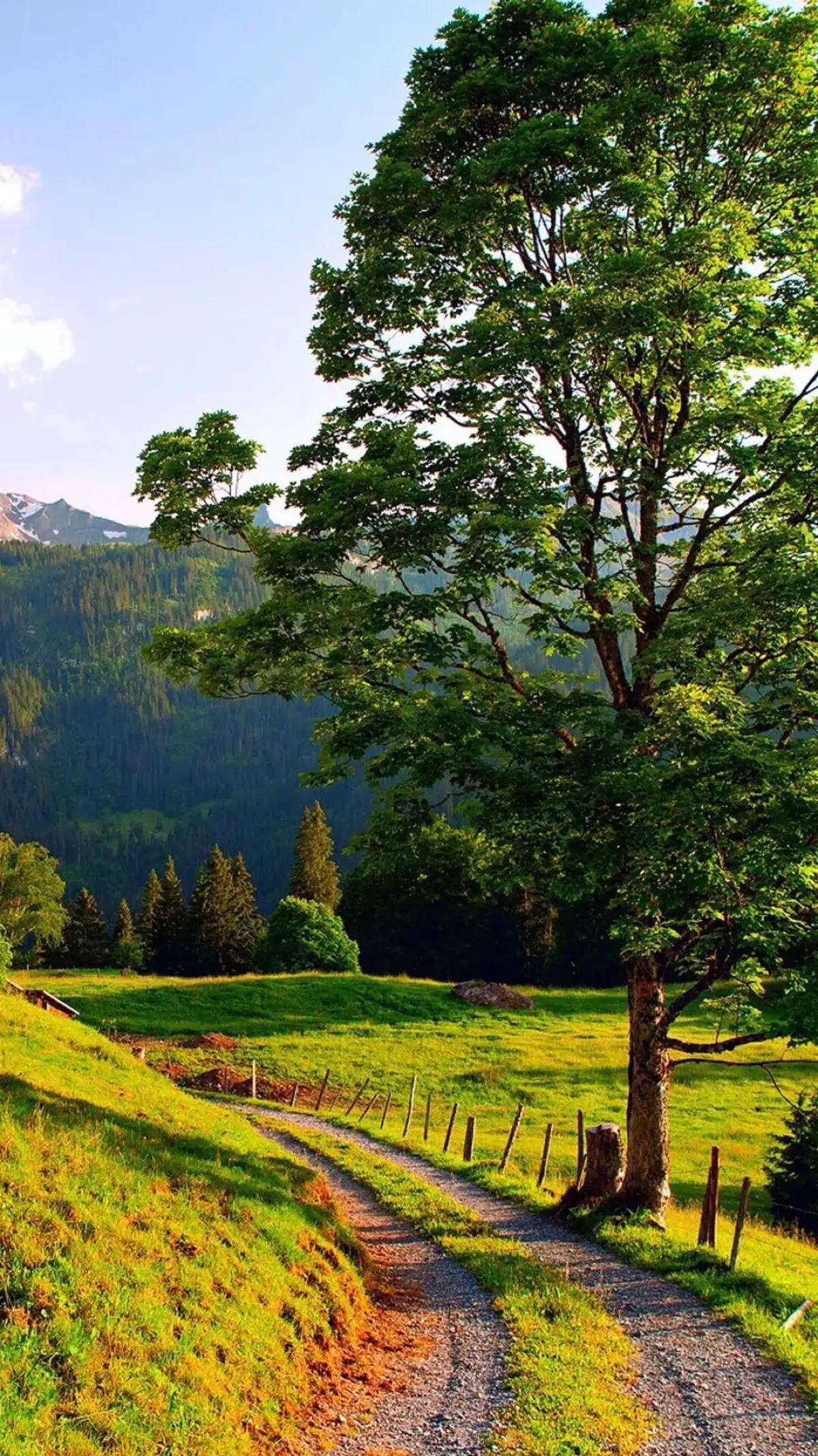 绝美的风景,诗意的绝唱