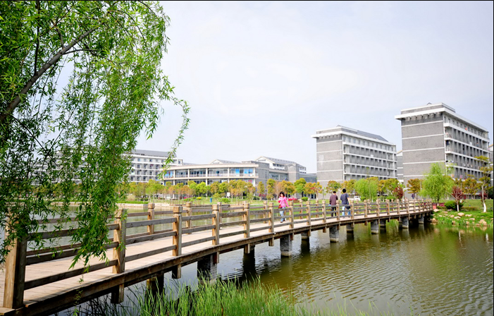 火了！江苏“神仙宿舍”：3人保研、1人上岸，4姐妹齐赴985、211深造