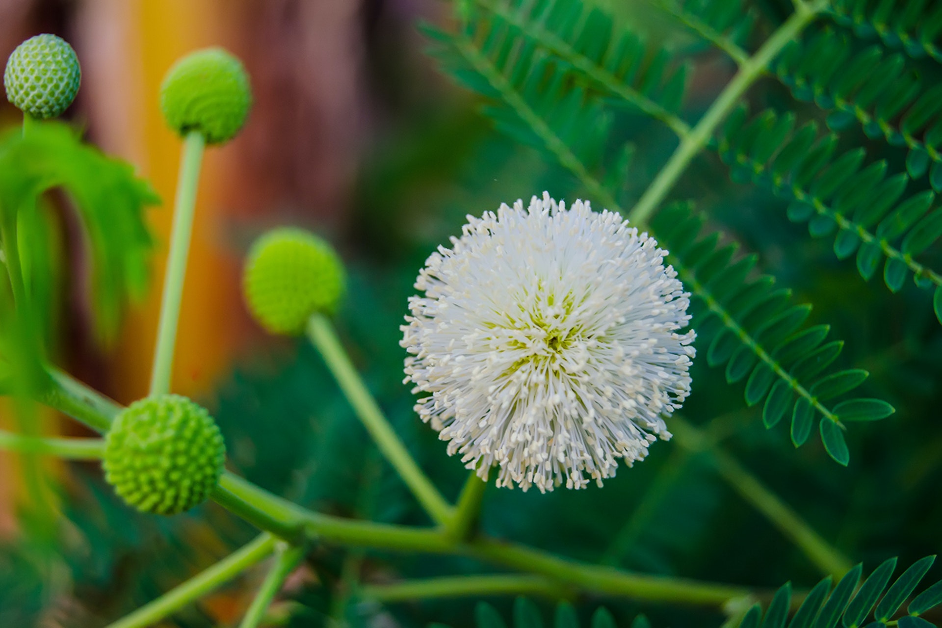 你我缘分已尽，从此各自安好，互不打扰
