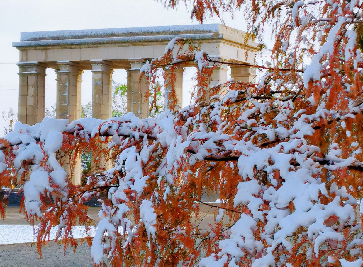 高颜值！陕西这所高校位于特大城市，占地4300亩！网友：风景绝美