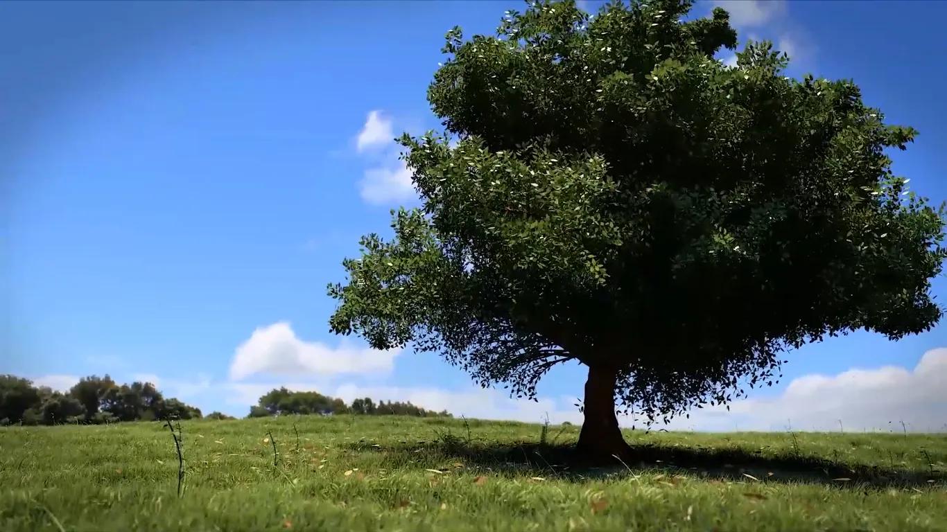 blender实战案例170合集