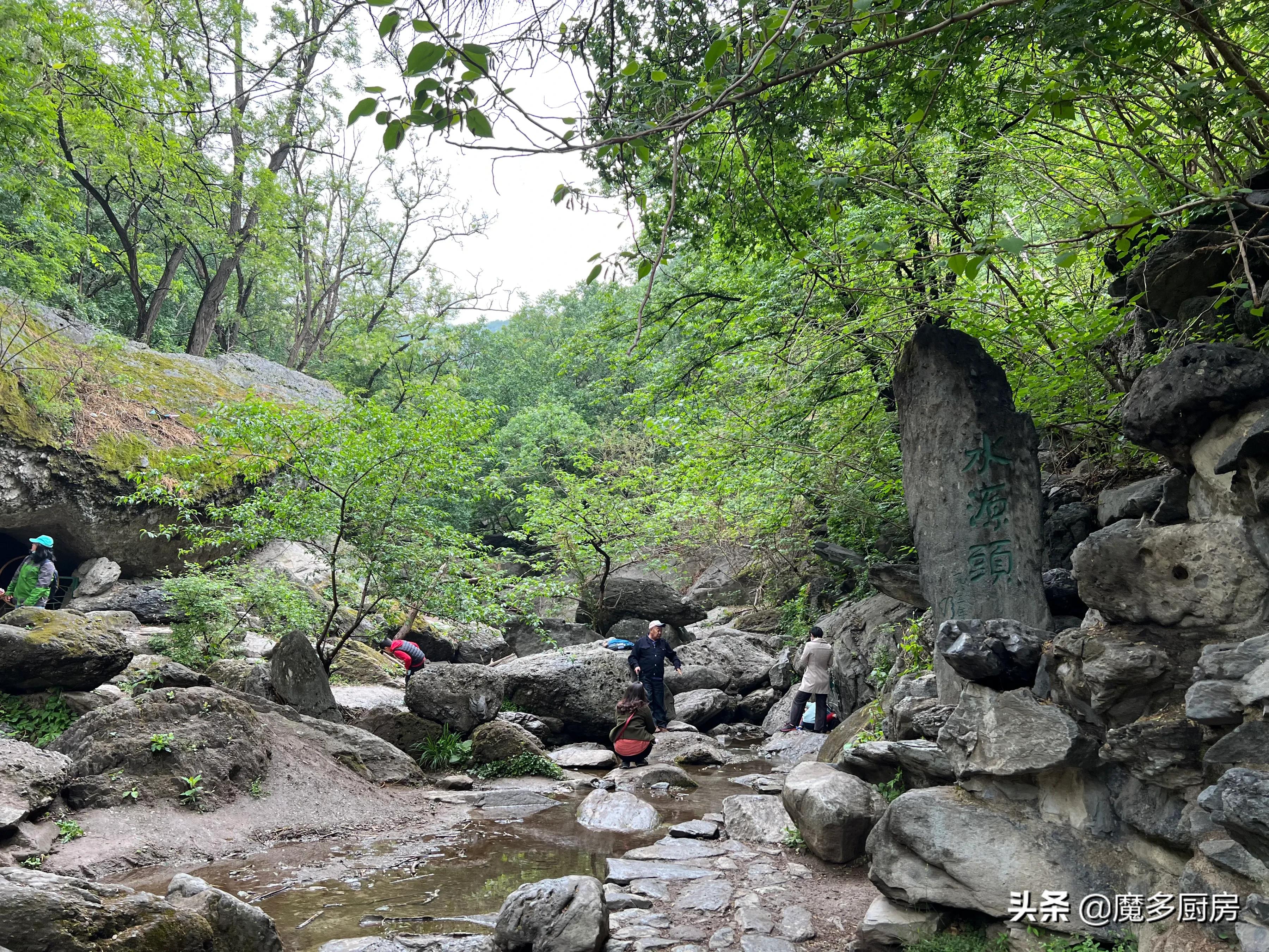 北京香山植物園戶外記錄，帶孩子們雨中山野徒步，感受自然樂趣