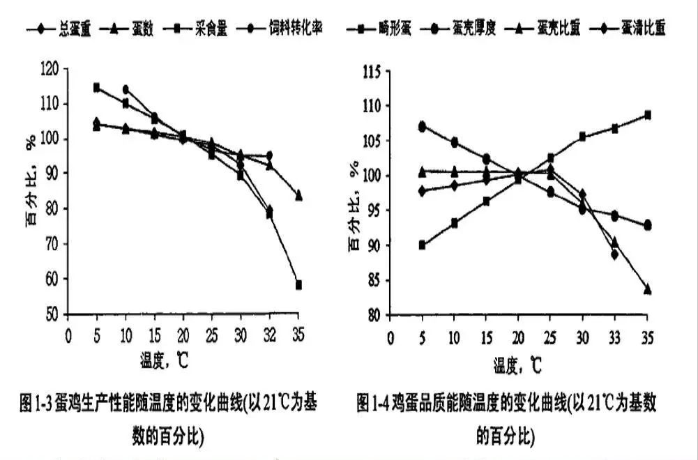 你了解高温环境对鸡群的影响吗？都有哪些防治措施？