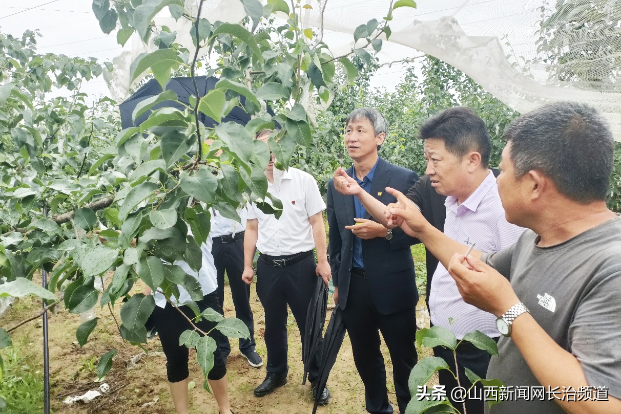 人保财险晋中市分公司积极应对寿阳雹灾天气 全力投入理赔服务工作