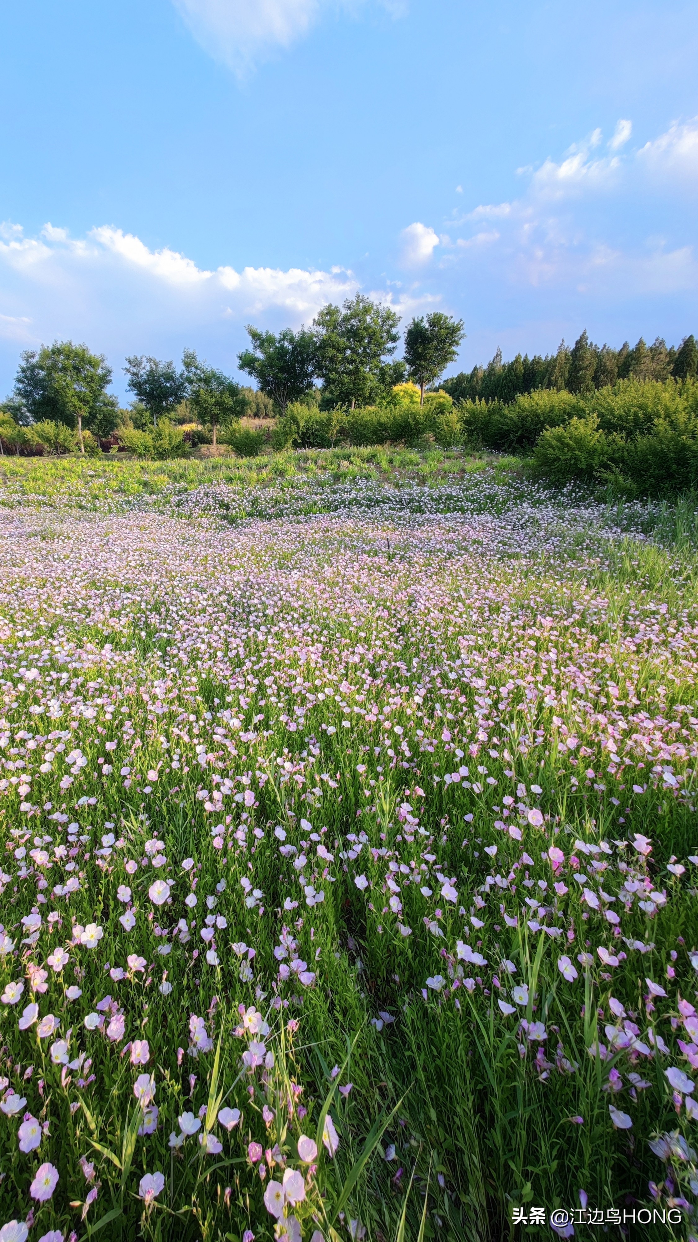 小米11 Ultra超广角的震撼（大片多图）