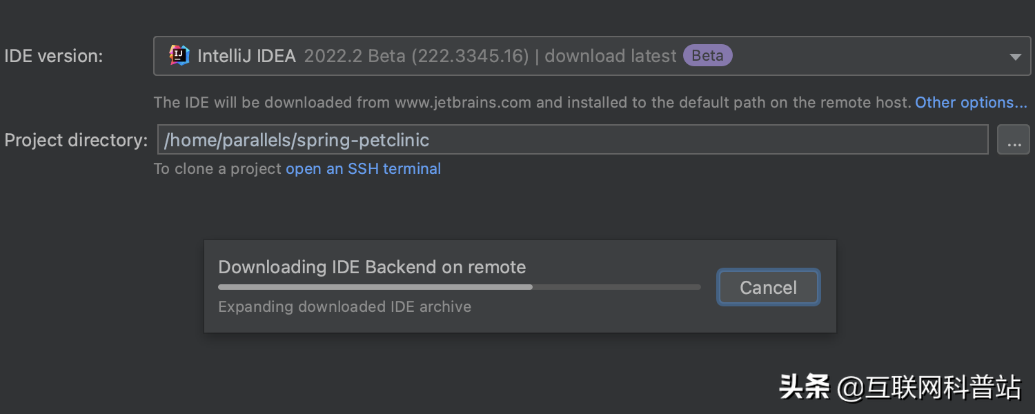IntelliJ IDEA 2022.2 Beta 2 发布