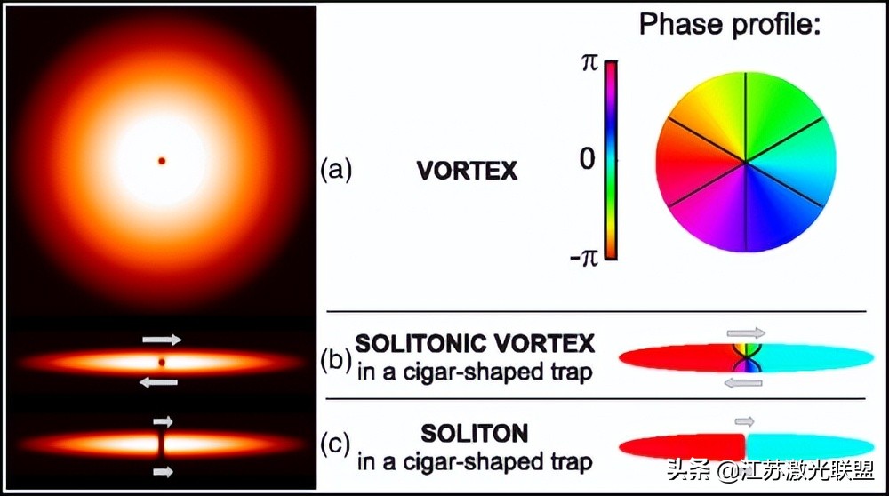 光的本征涡旋-反涡旋相互作用