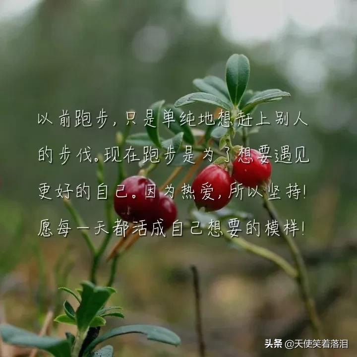 简短好句分享(消失宾妮经典语录)