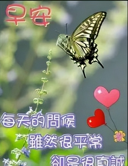 周六早安，非常温馨的早上好祝福语图集，幸福甜蜜、知足健康图片
