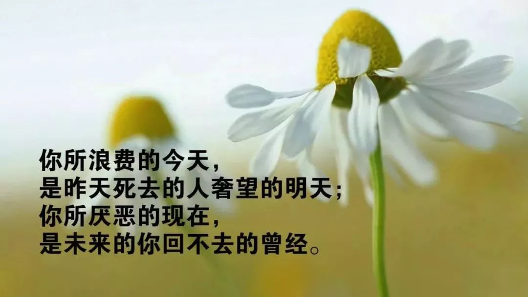 周末欢乐 早上好的问候语带图片 愿你一生被爱、一生可爱图片