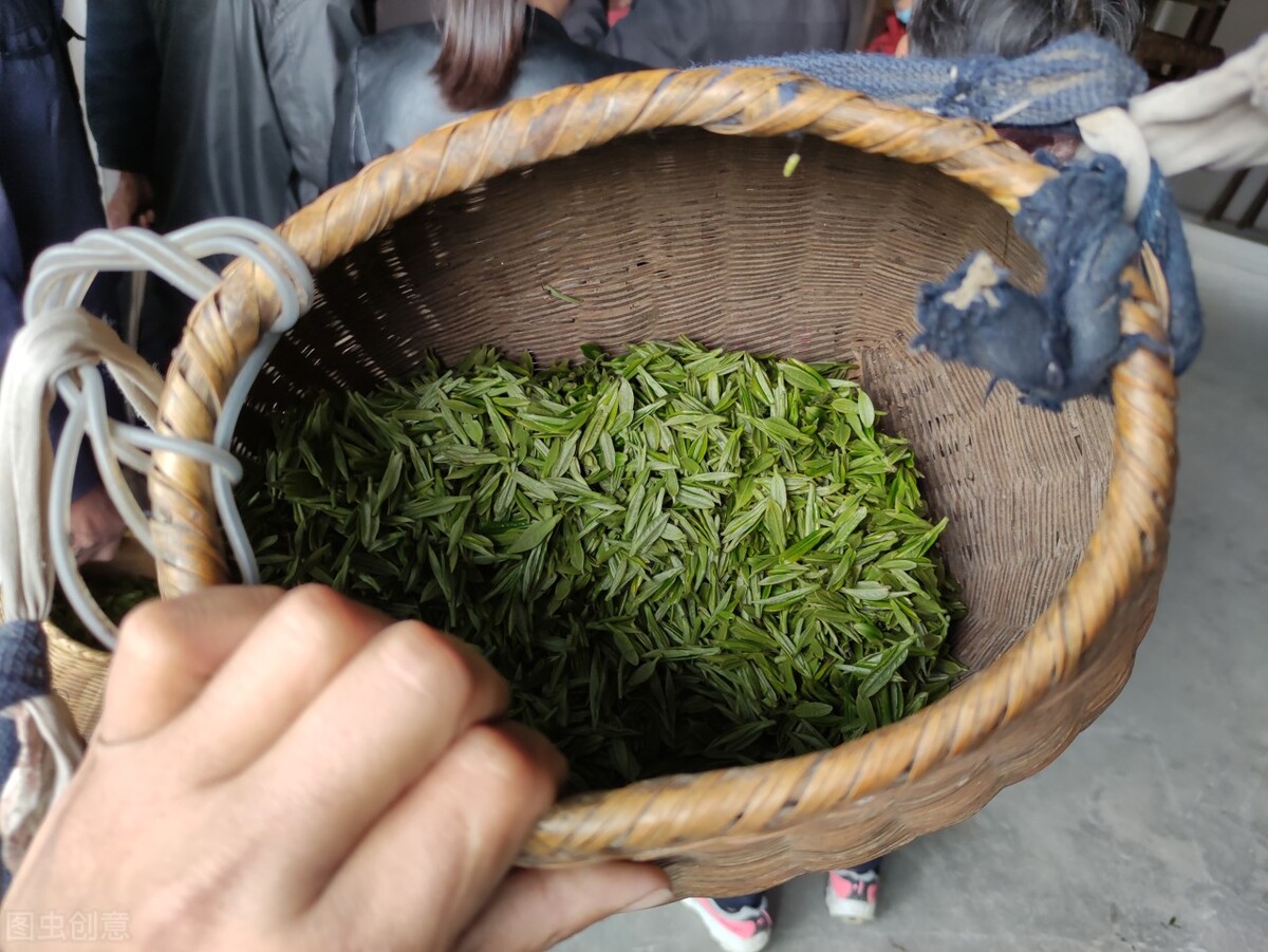 有一种安徽茶叫做四川、福建制造，成本比安徽本地茶要低很多