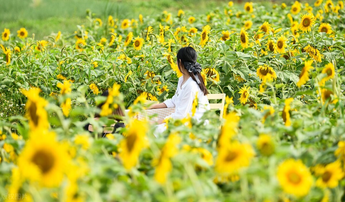 大学丝袜女友（一个年轻貌美的女大学生）