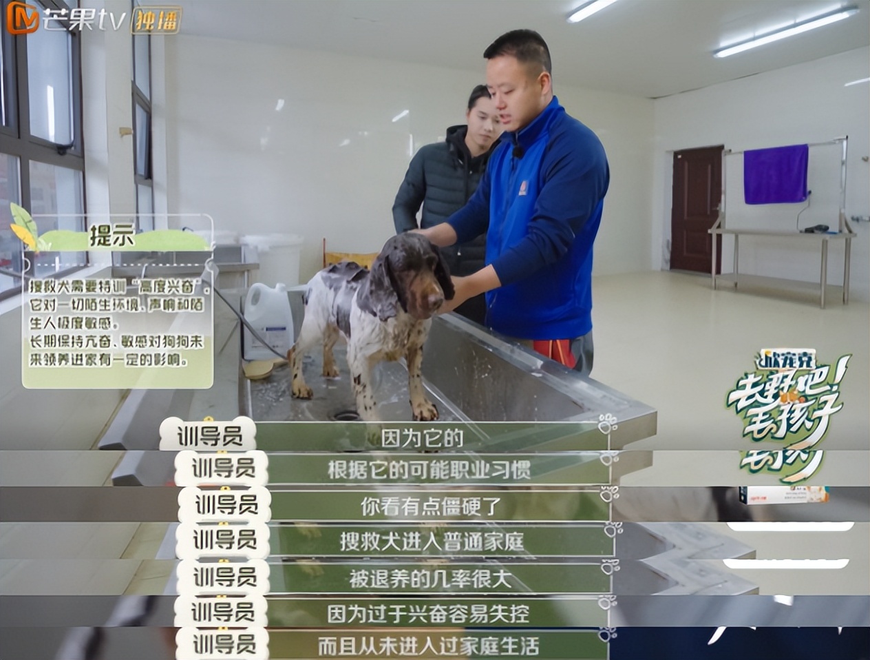 10分钟看哭7次！当他们不再“有用”的时候，却也无法正常生活