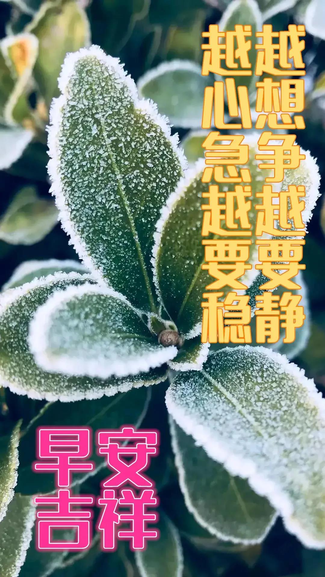 聊天不用打字的中老年表情，一声早安如同见面，你我开心快乐永远