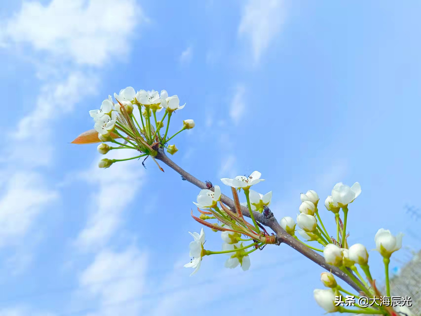诗意人间,唯美四月,与美景相约