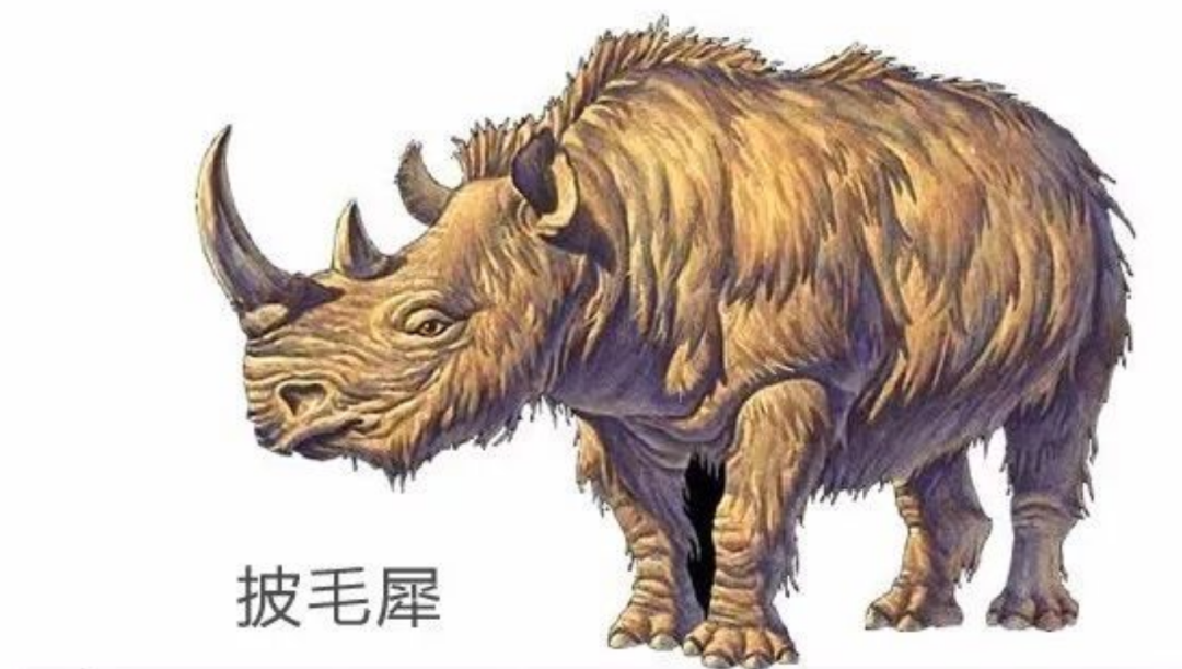 冰川里发现龙的干尸（古生物尸体从冻土层中被发现）