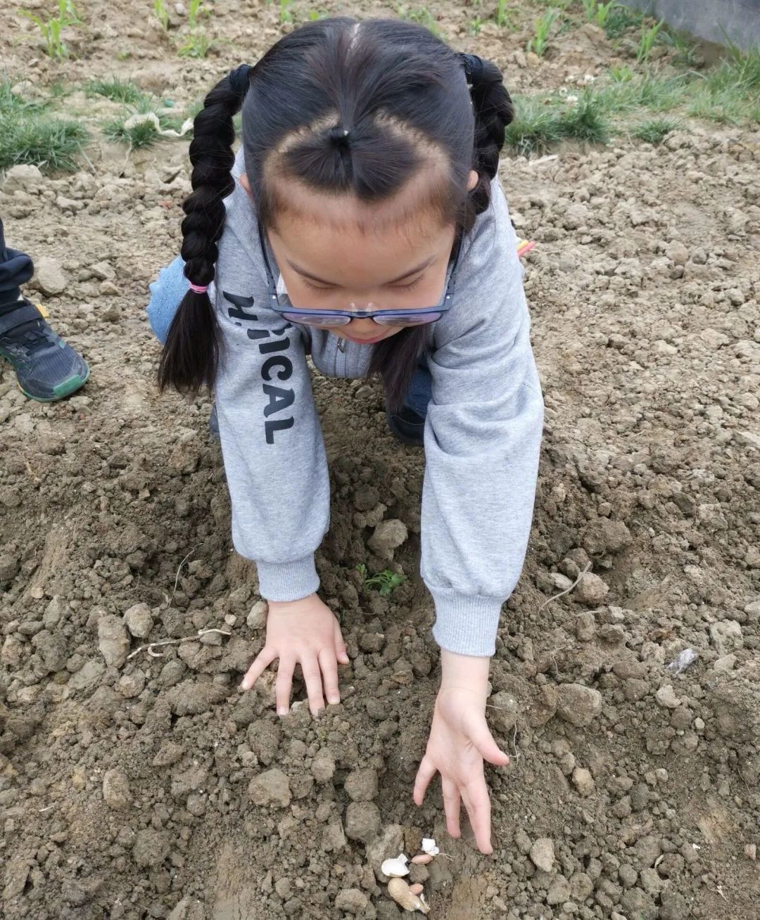 成都高新区朝阳小学开展“节气深耕·清明节气”主题活动