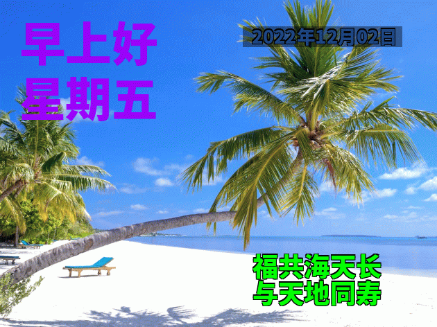 一声早上好，愿友开心整天、幸福每一天，一声祝福、一生朋友图片