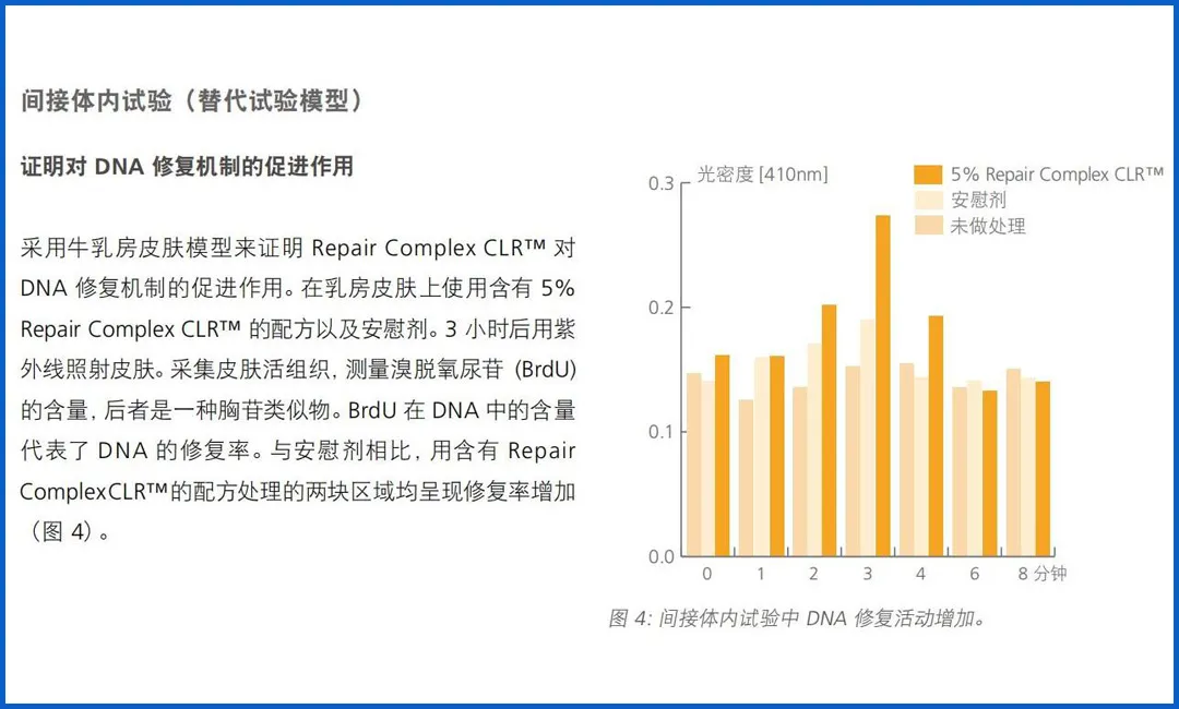 雅诗兰黛小棕瓶、娇韵诗双萃,这些大牌“平替”真的靠谱吗?