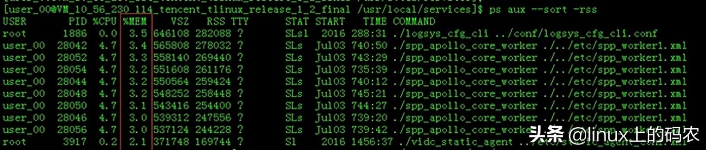 深入理解Linux内存子系统