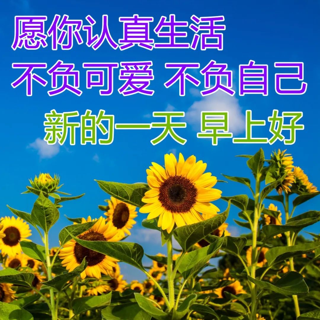 2022.04.22早安心语，唯美正能量问候语录，开启美好的一天