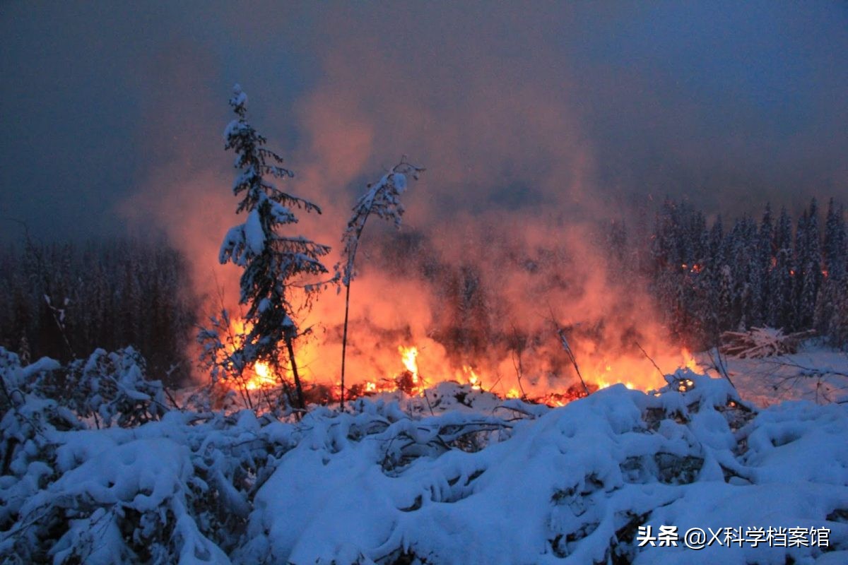 北极地区奇特现象，零下60度出现“僵尸”火，原因为何？