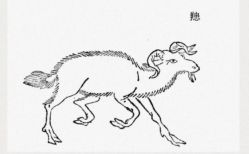 中国的妖怪《山海经》(八)