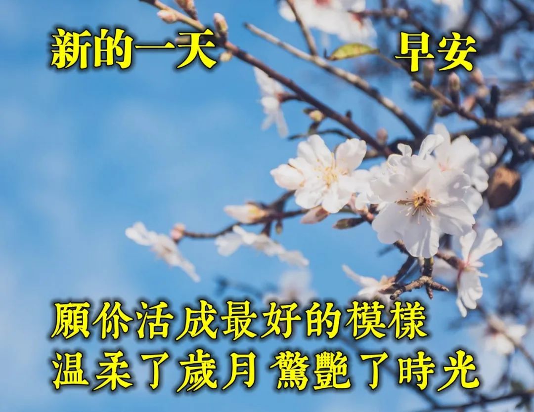 最新早上好祝福图片 愿你活成最好的模样 温柔了岁月、惊艳了时光图片