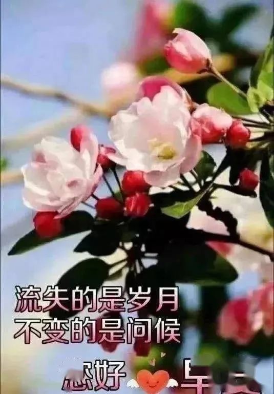 2022最新早上好表情包 清晨送上一份祝福 快乐无忧、幸福甜蜜图片